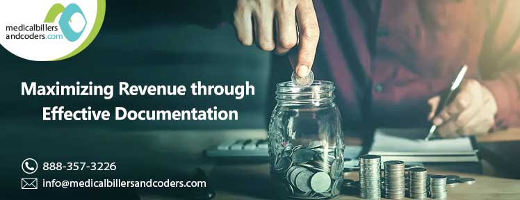 Maximizing Revenue through Effective Documentation