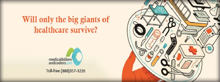 Will only the big giants of healthcare survive?